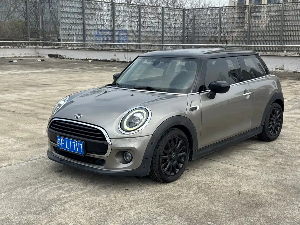 Mini Mini 2020