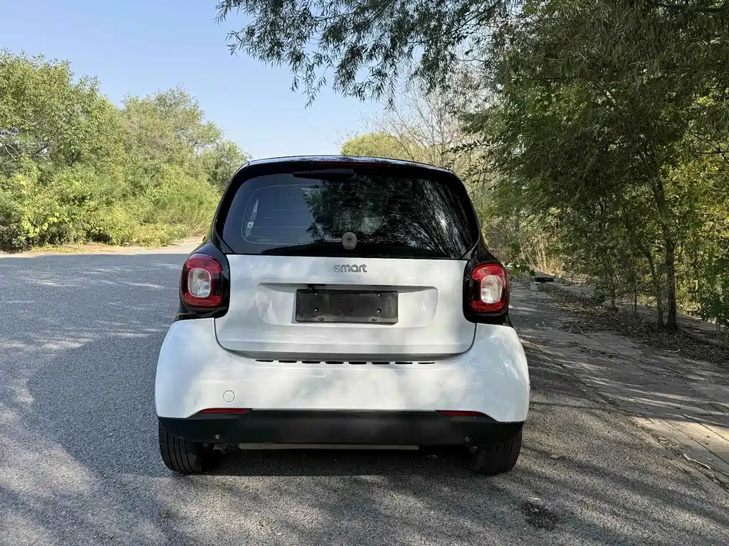 smart Smart Fortwo — миниатюра 12