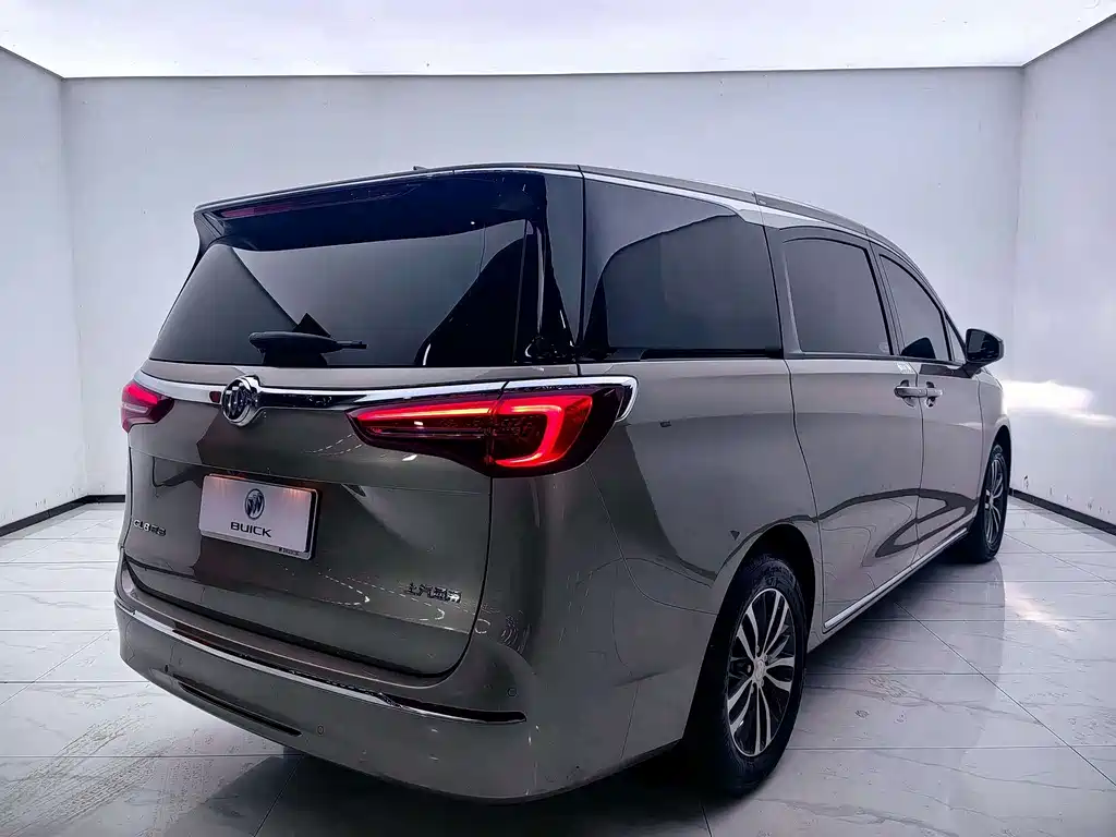 Buick GL8 — миниатюра 18