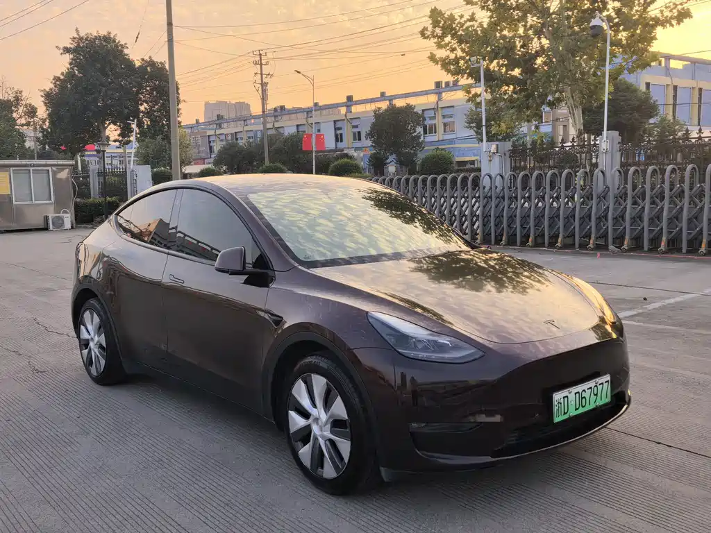 Tesla Model Y — миниатюра 3