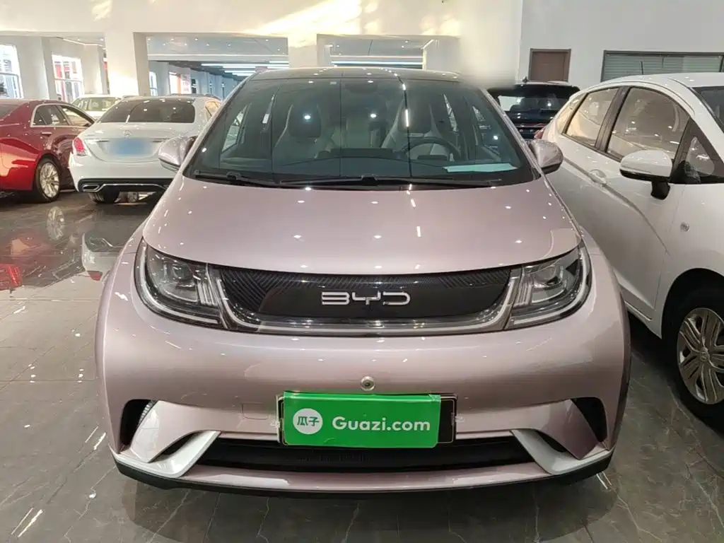 BYD Dolphin — миниатюра 3