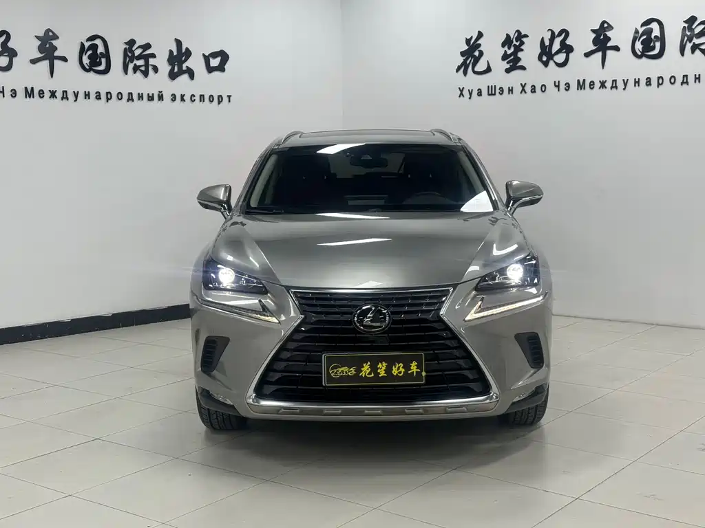Lexus NX 2020 200 VI