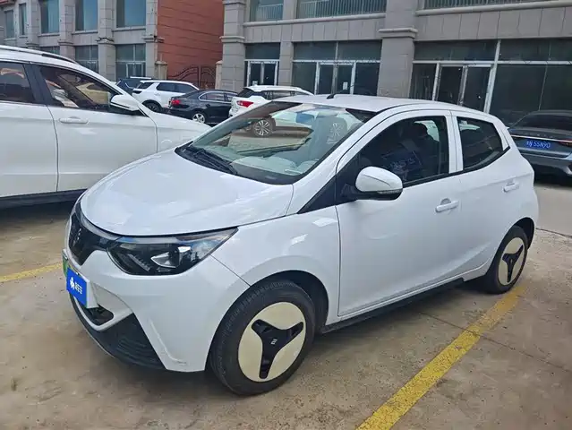 JIANGLING GROUP NEW ENERGY LITTLE UNICORN 2024