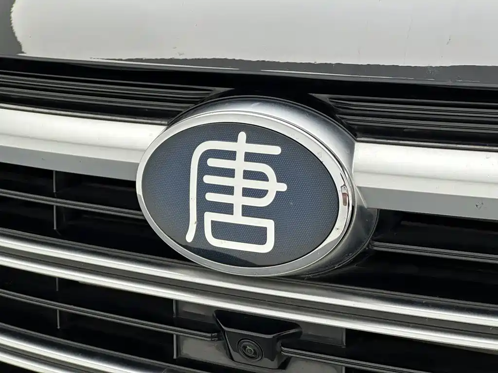 BYD Tang New Energy — миниатюра 26