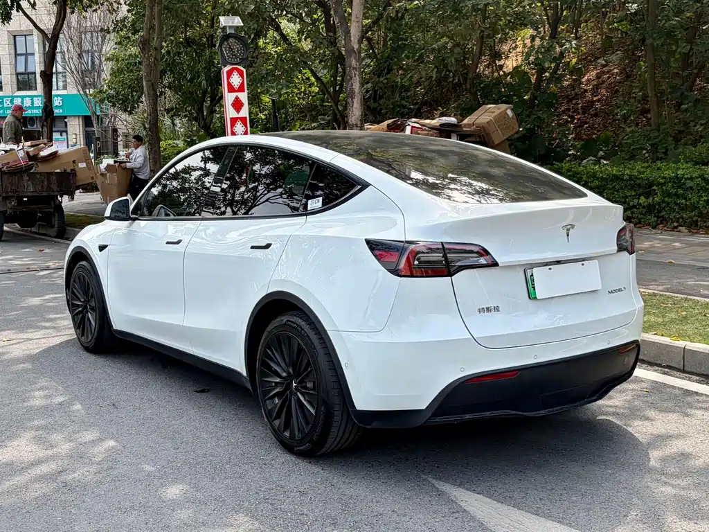 Tesla Model Y — миниатюра 7
