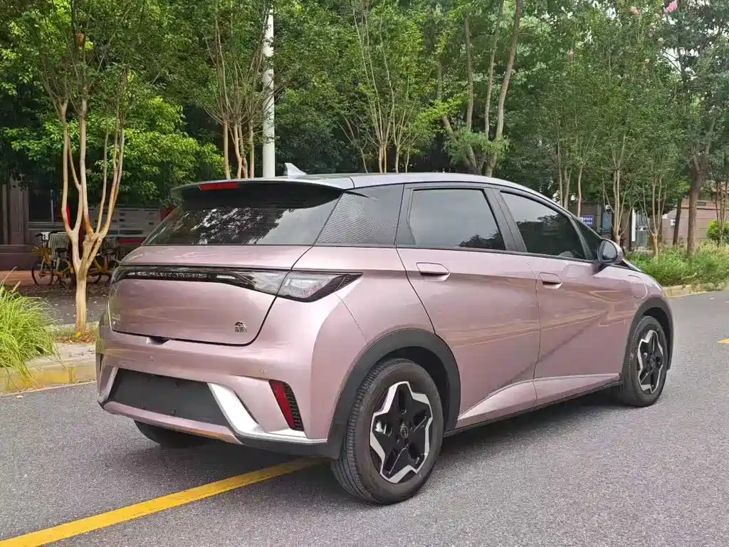 BYD Dolphin 2021 405km Fashion