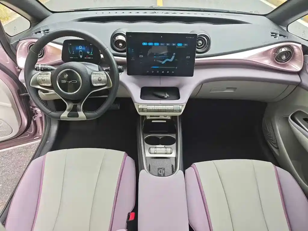 BYD Dolphin 2021 405km Fashion
