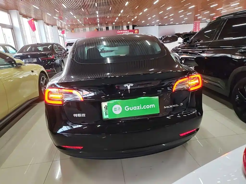 Tesla Model 3 — миниатюра 6