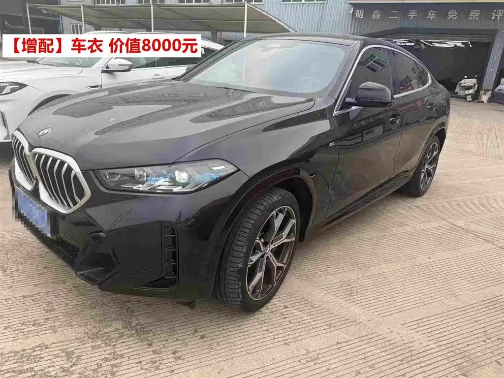 BMW X6