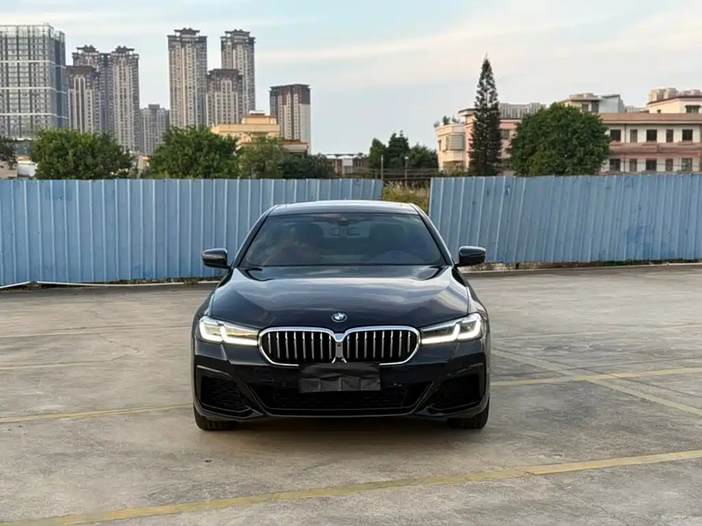 BMW 5 Series — миниатюра 2