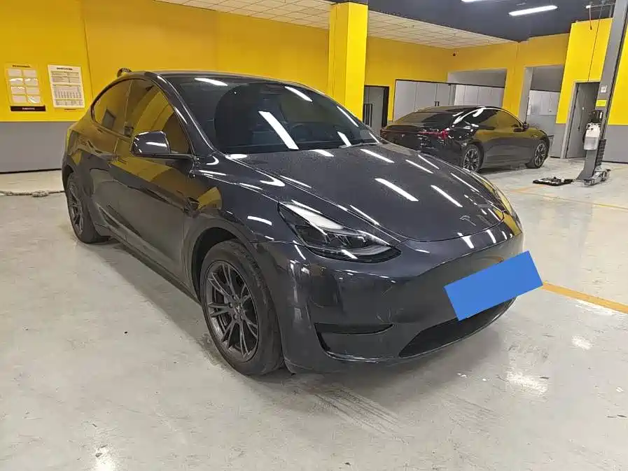 Tesla Model Y — миниатюра 2