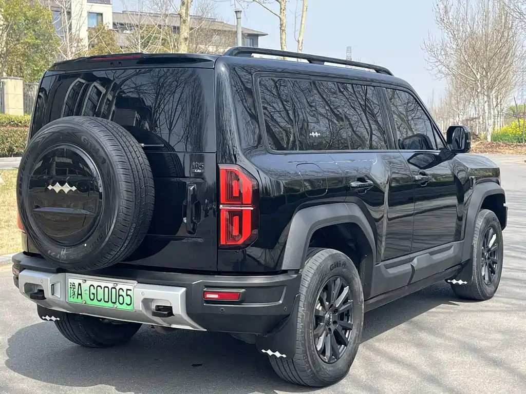 FANG CHENG BAO LEOPARD 5