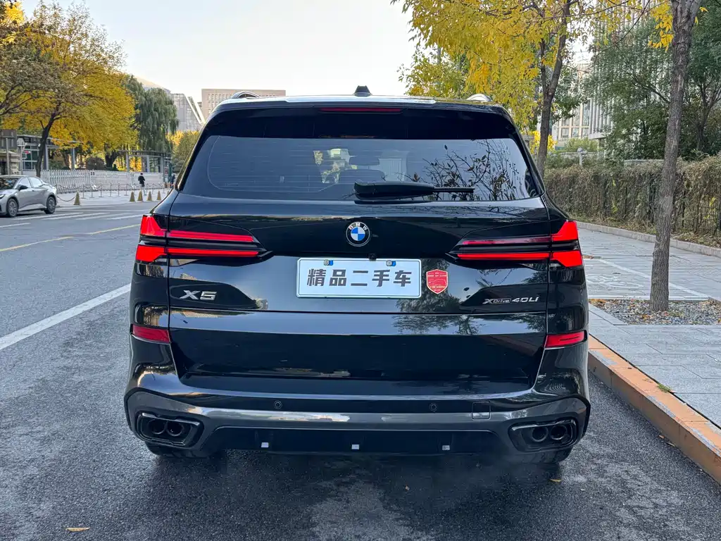BMW X5 — миниатюра 8
