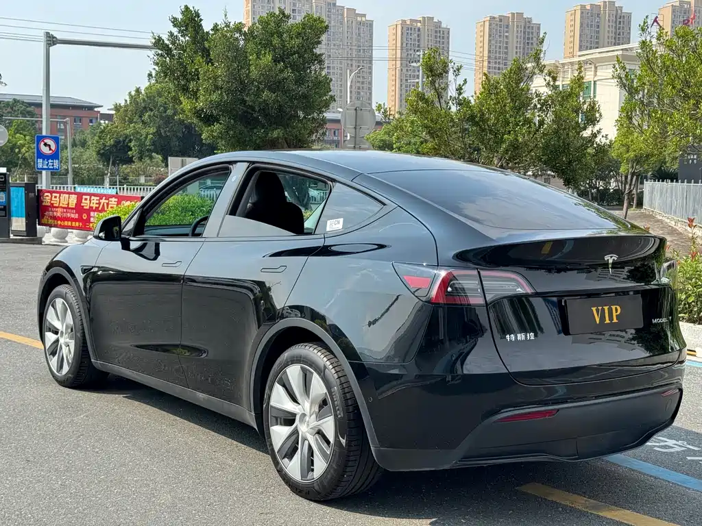 Tesla Model Y — миниатюра 4