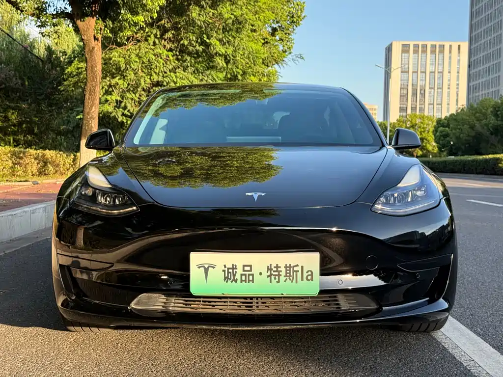 Tesla Model 3 — миниатюра 7