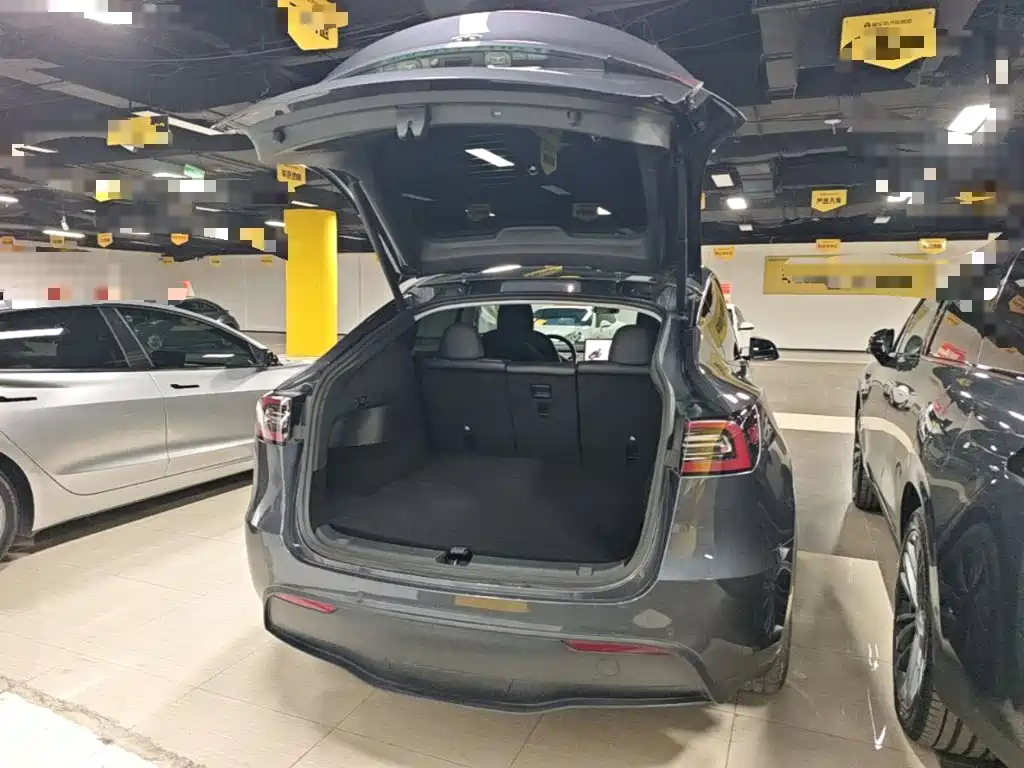 Tesla Model Y — миниатюра 19