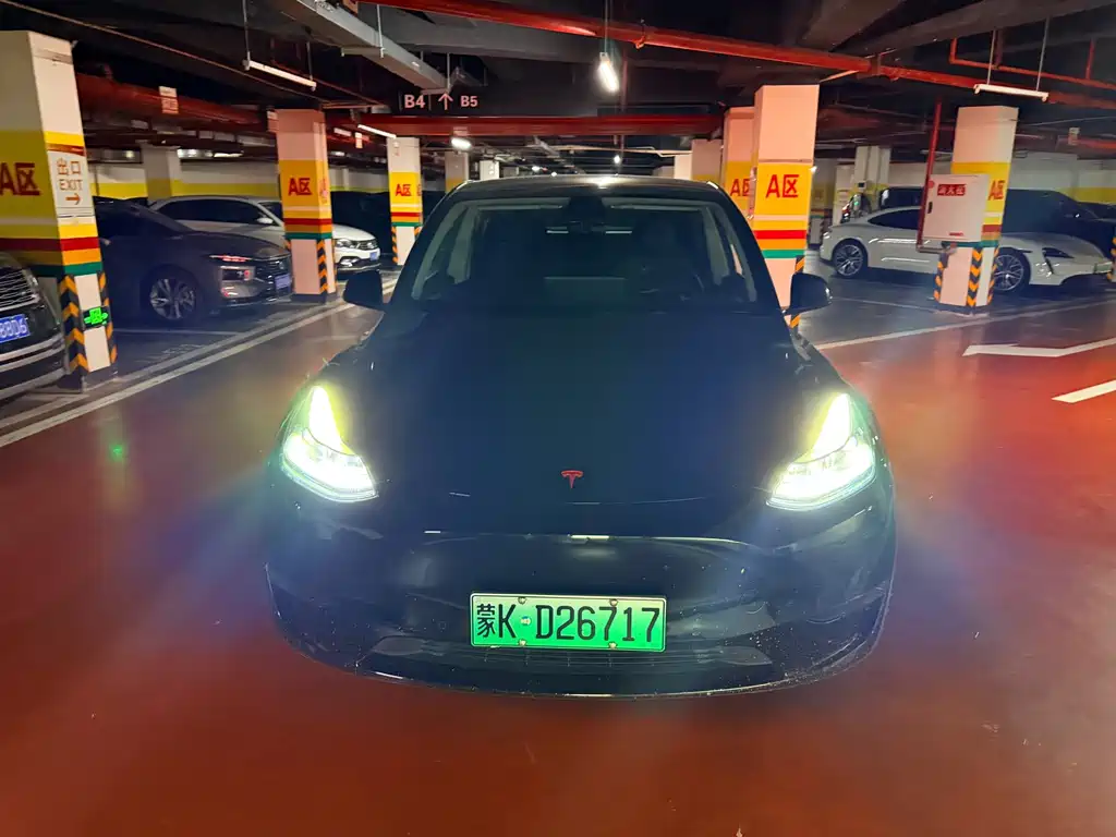 Tesla Model Y — миниатюра 2