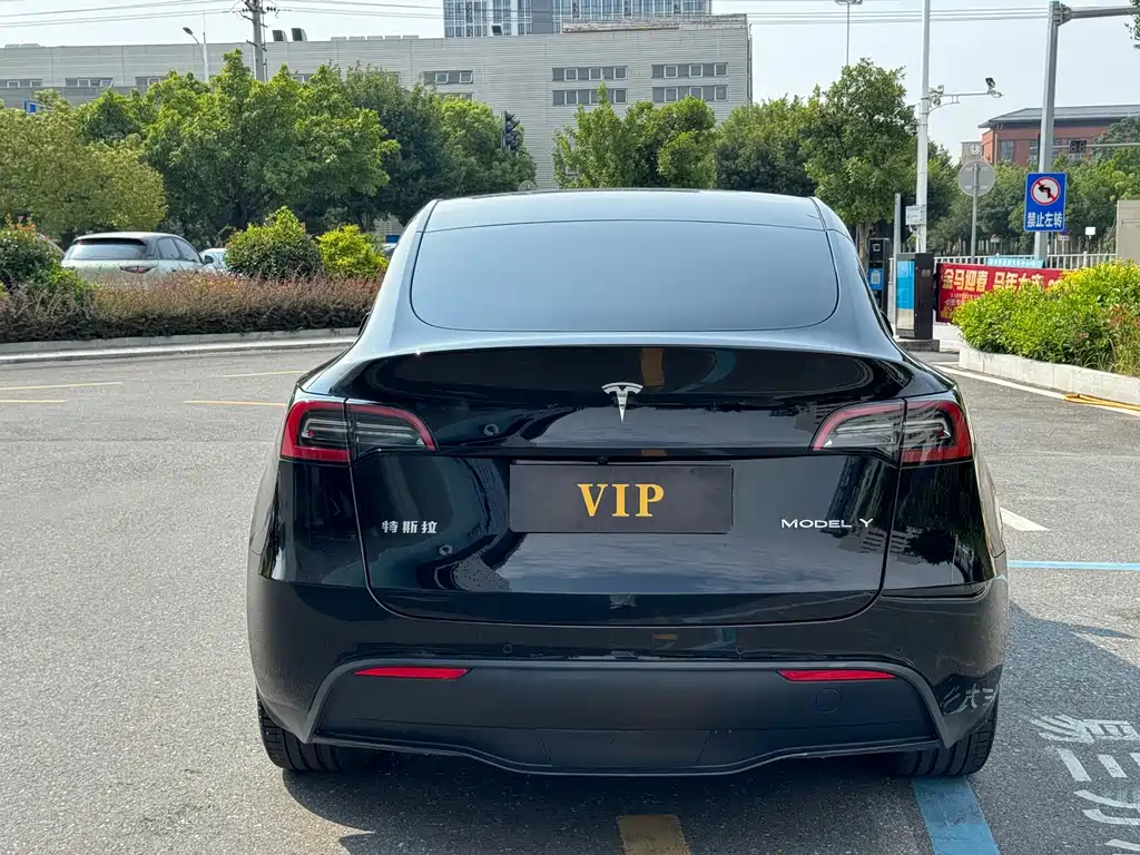 Tesla Model Y — миниатюра 5