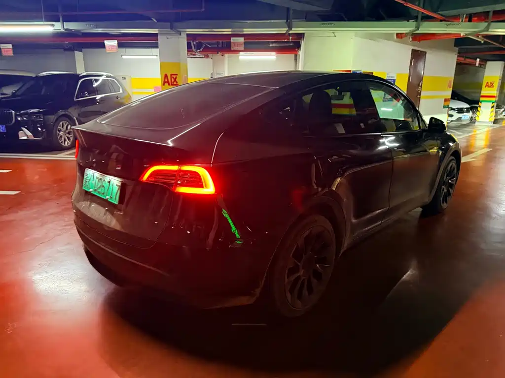 Tesla Model Y — миниатюра 7