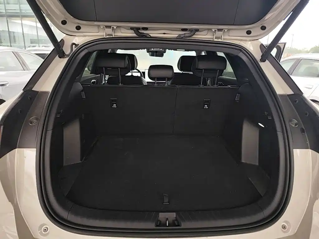 BYD Sealion 06 — миниатюра 19