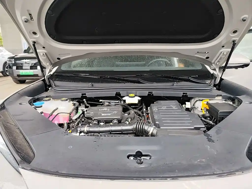 BYD Sealion 06 — миниатюра 20