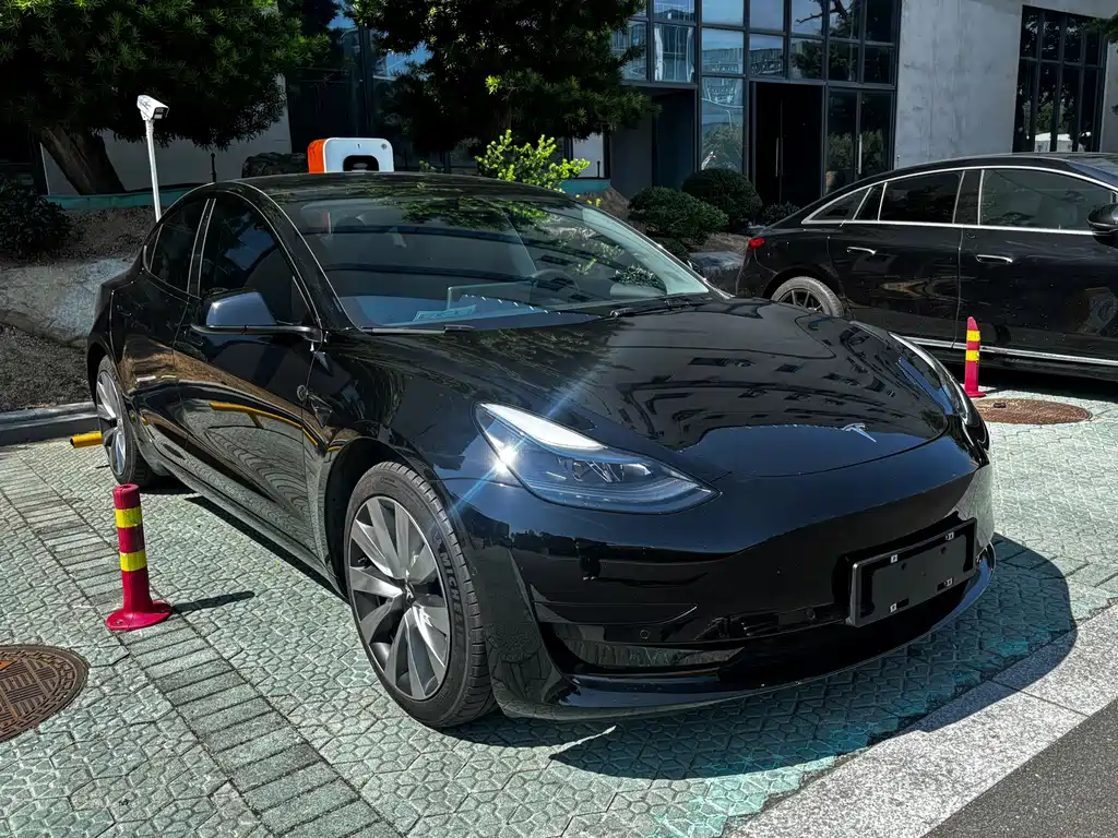 Tesla Model 3 — миниатюра 3