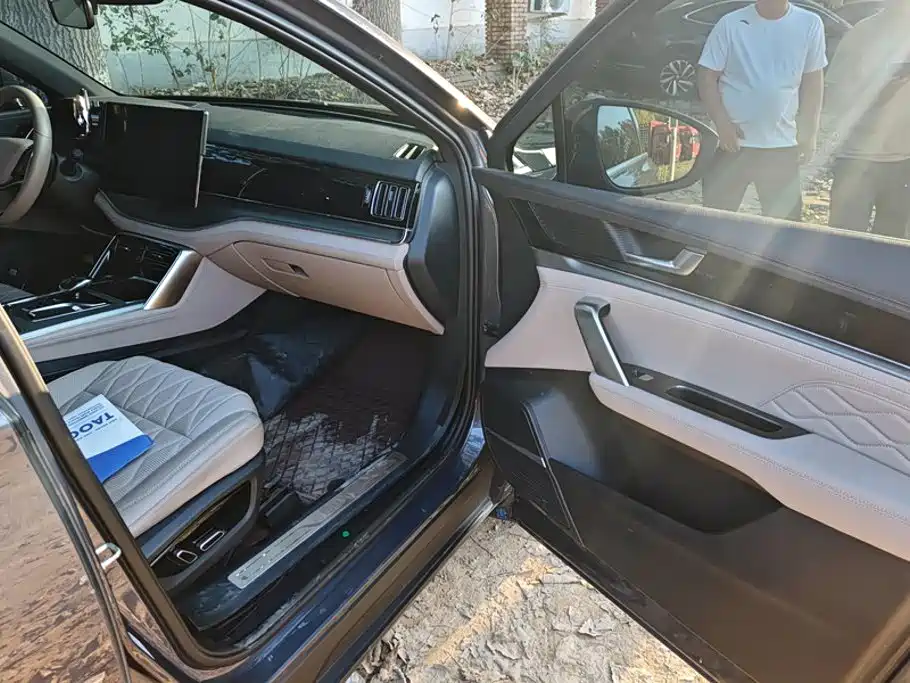 BYD Tang New Energy — миниатюра 8