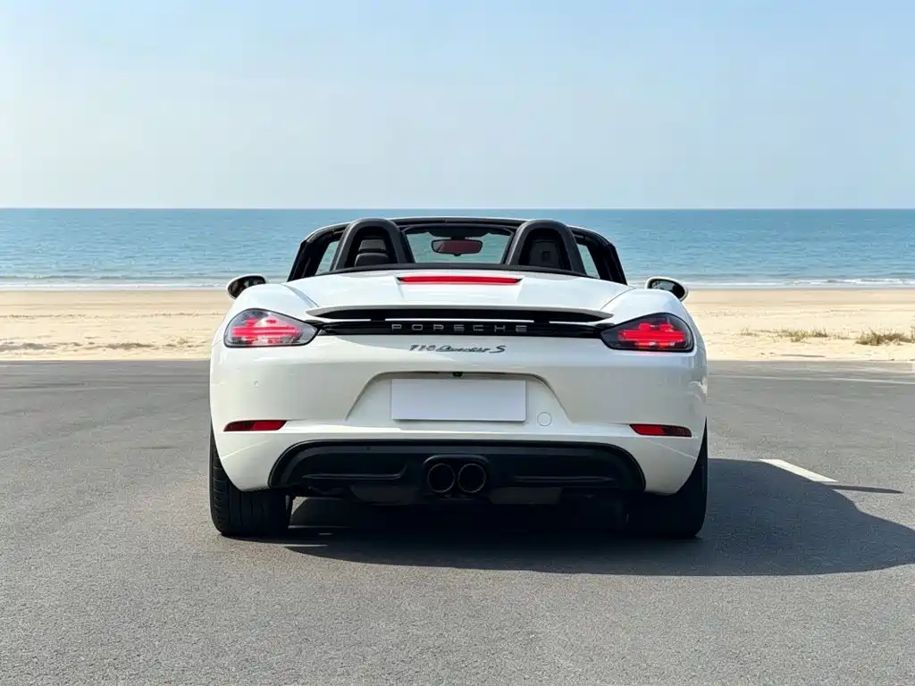 Porsche 718 — миниатюра 8
