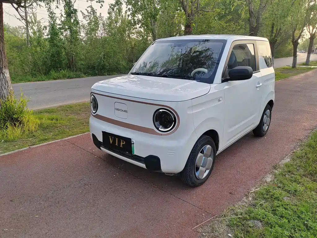 Galaxy Panda 2024