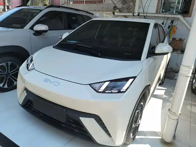 2024 BYD Seagull