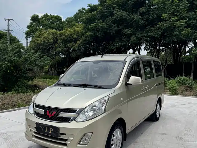 2017 Wuling Motors Rongguang