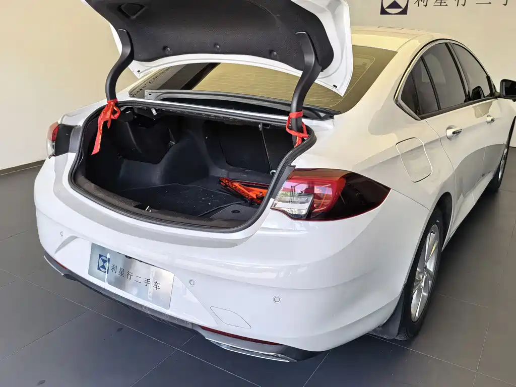 Buick Regal — миниатюра 9