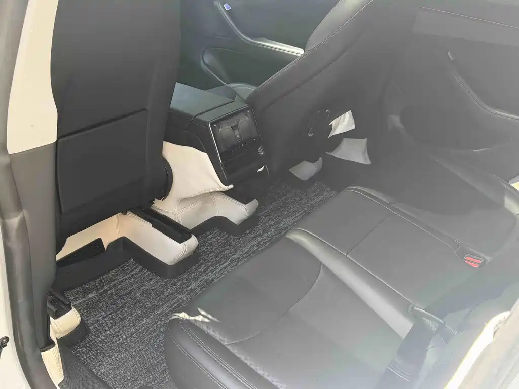 Tesla Model Y — миниатюра 6