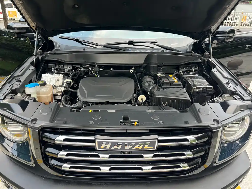 Haval Big Dog — миниатюра 14
