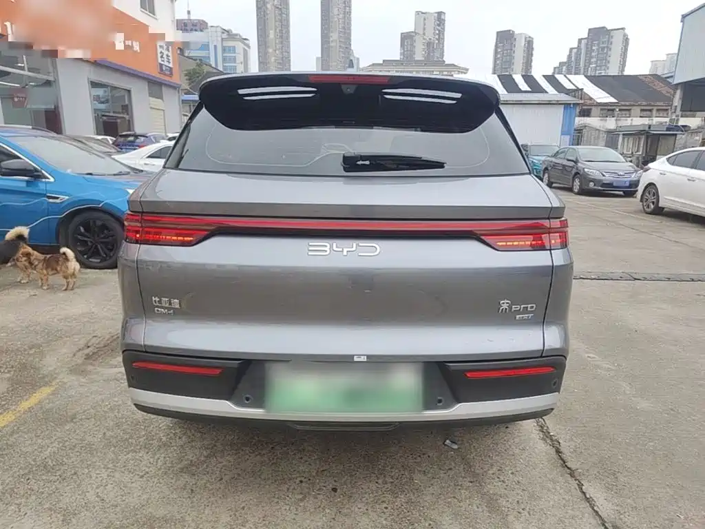 BYD Pro New Energy — миниатюра 6