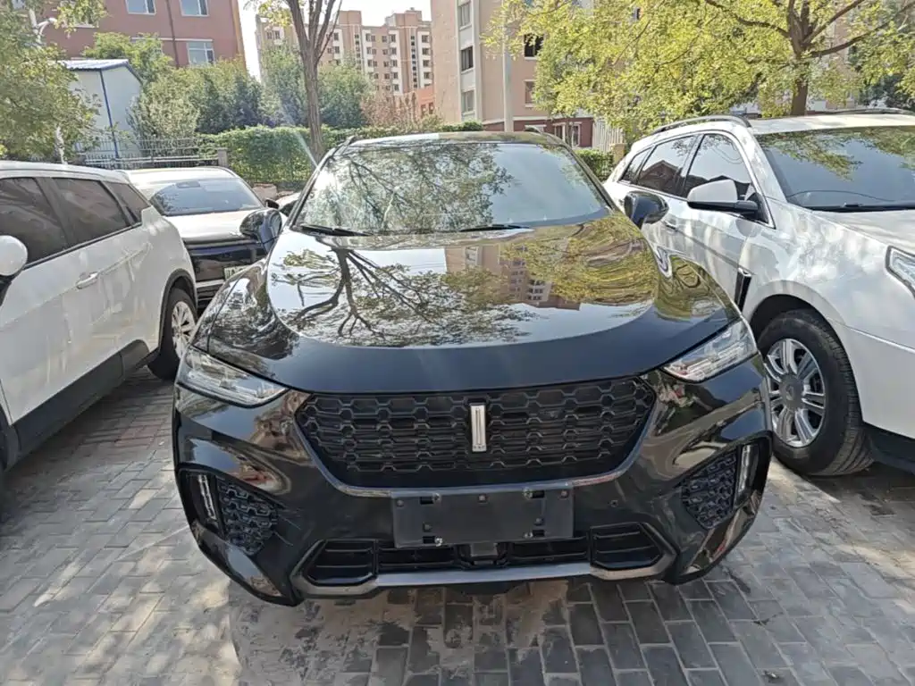 Wey Wey VV7 — миниатюра 3
