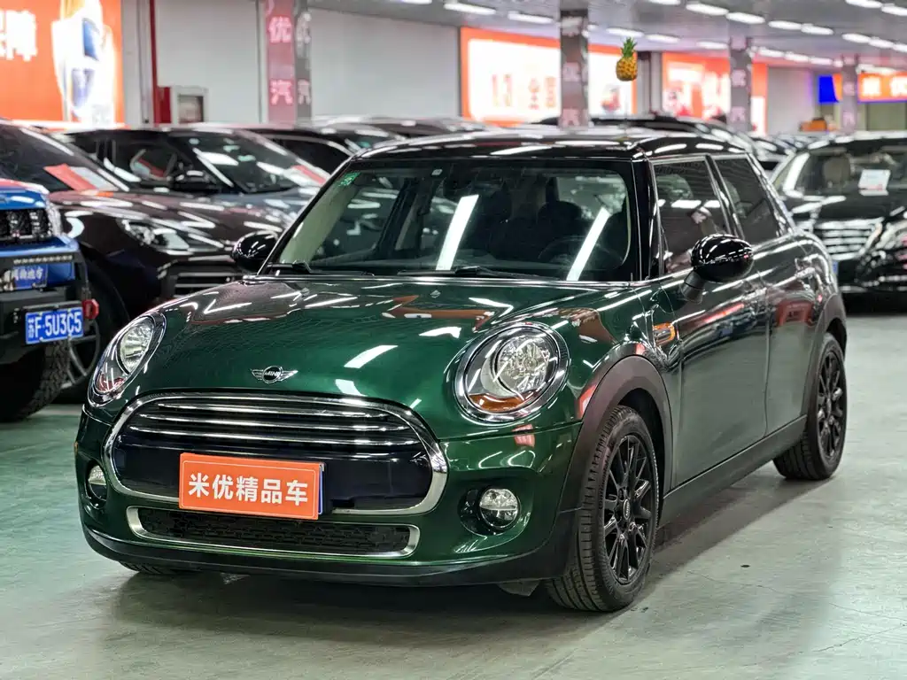 Mini Mini 2016