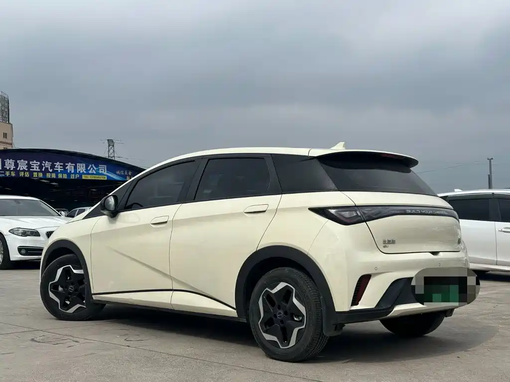 BYD Dolphin — миниатюра 5