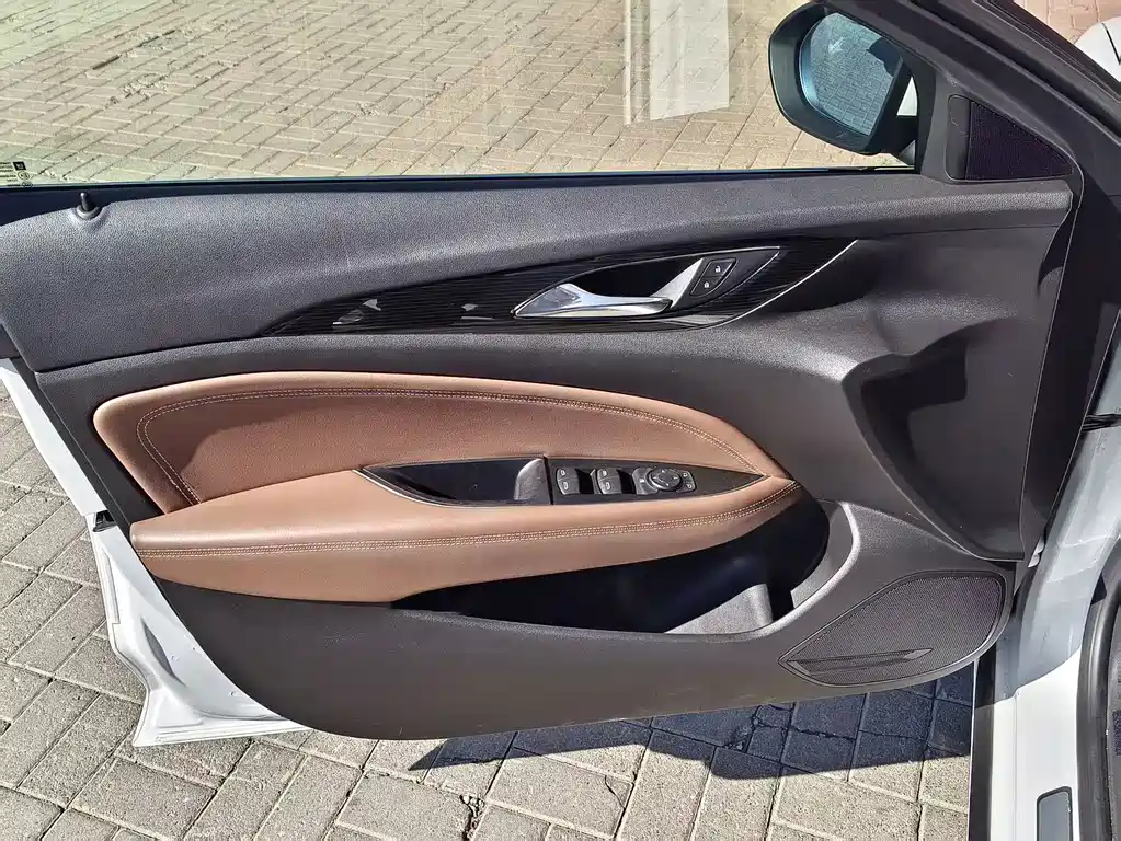 Buick Regal — миниатюра 8