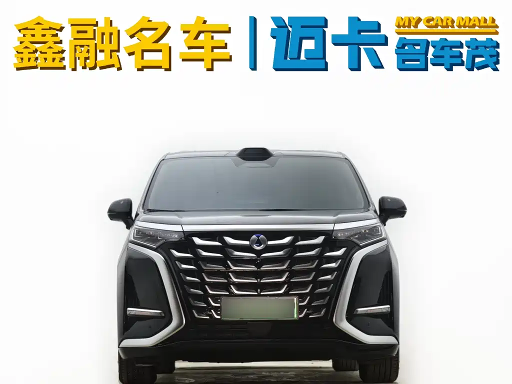 Denza D9 2025 DM-i Smart Drive 1020 Flagship
