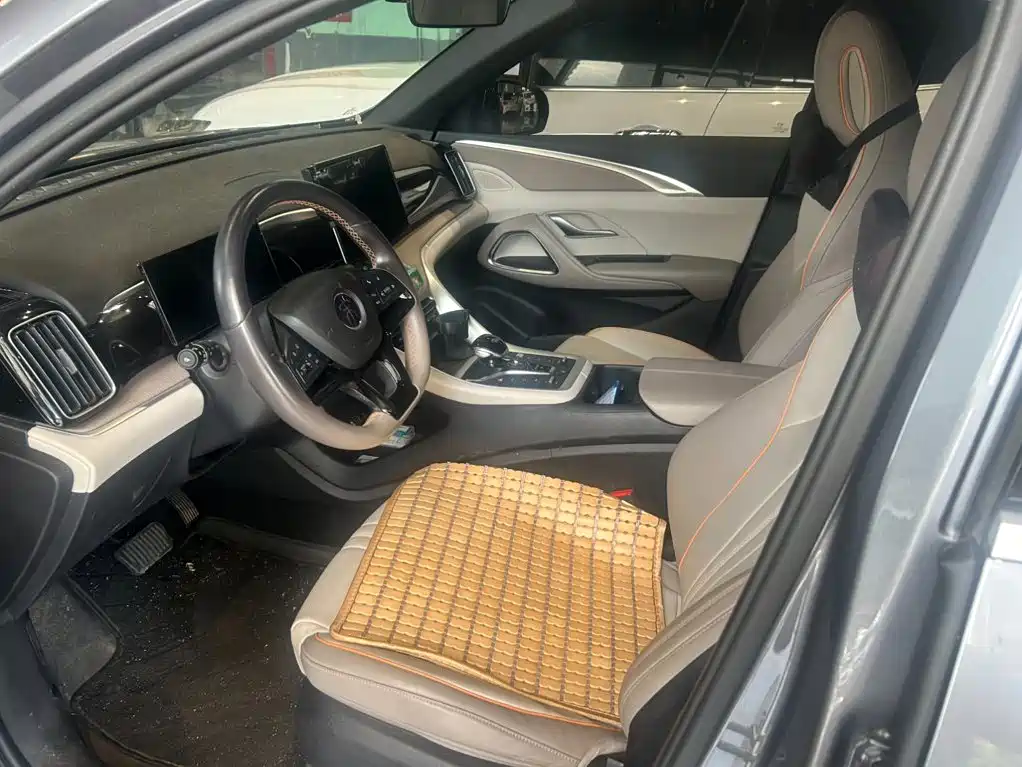 BYD Pro New Energy — миниатюра 10