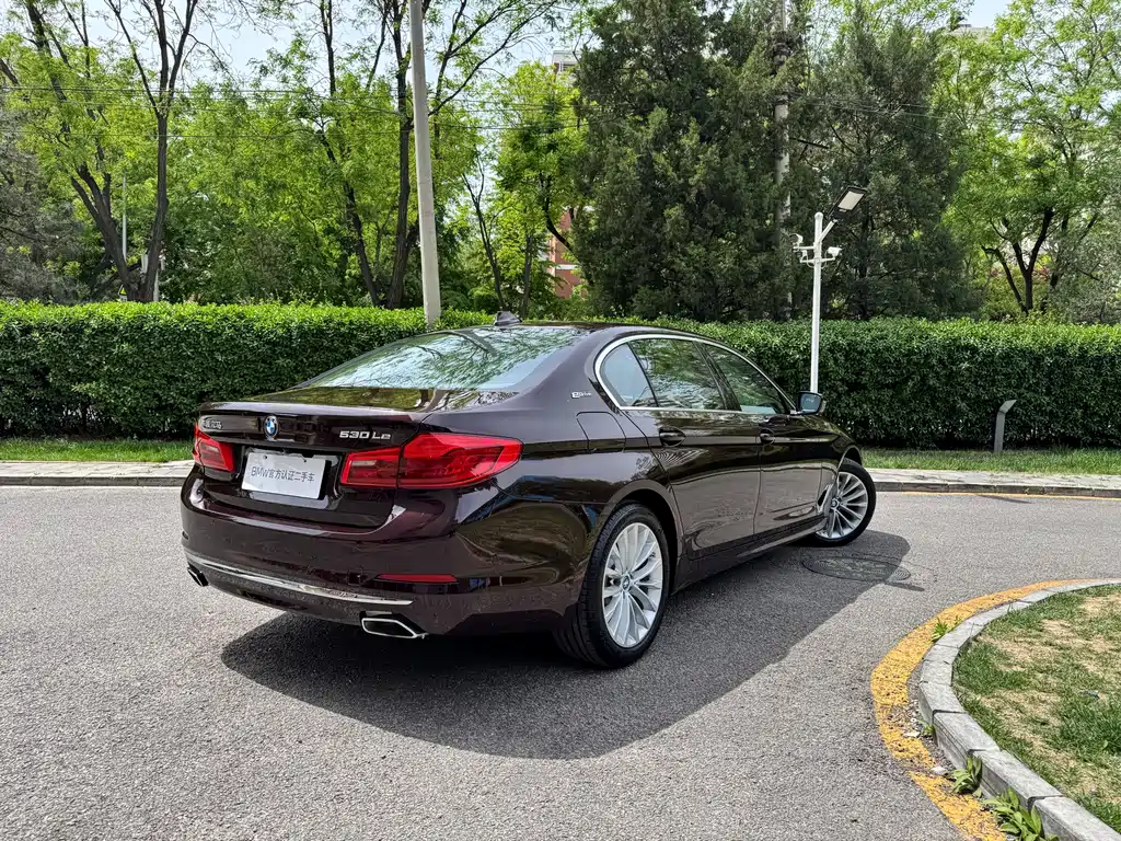 BMW 5 Series 5 2019 530Le Luxury