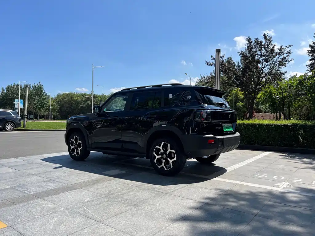 Shanhai Shanhai T1 — миниатюра 9