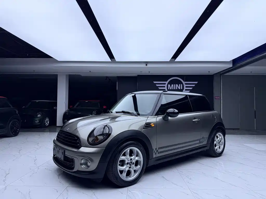 Mini Mini 2013