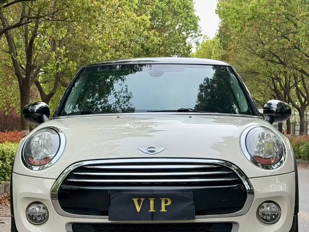 Mini Mini 2014