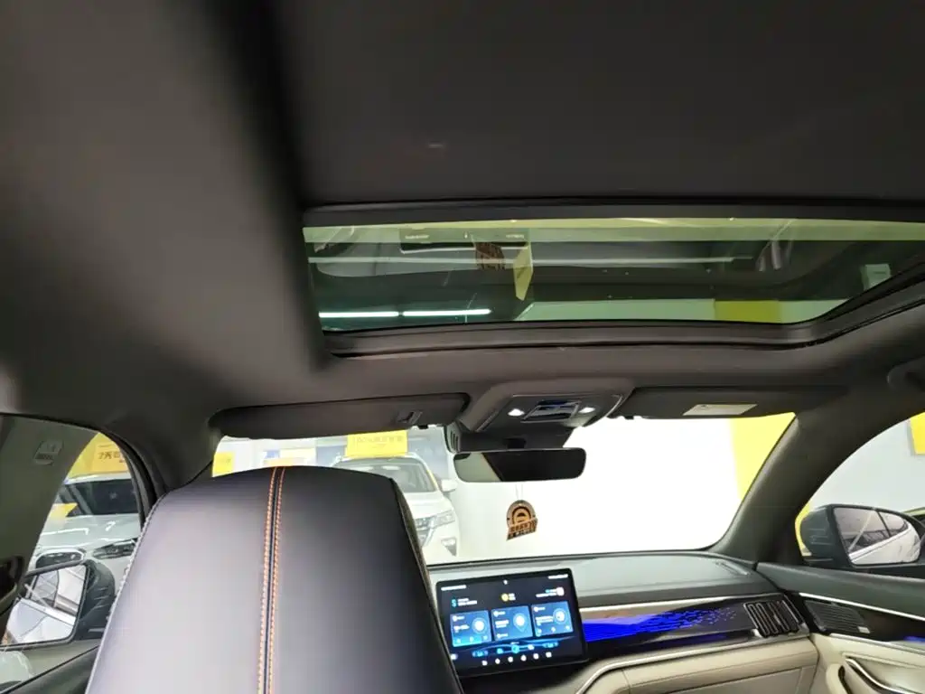 BYD PLUS New Energy — миниатюра 18
