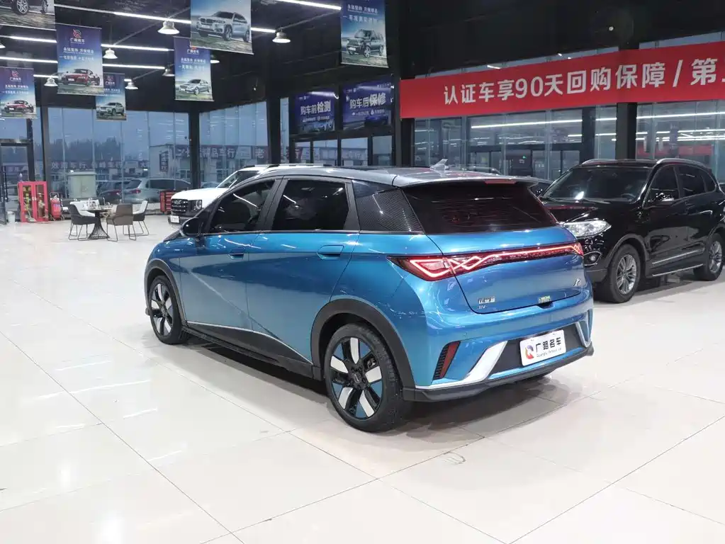 BYD Dolphin 2023 401km