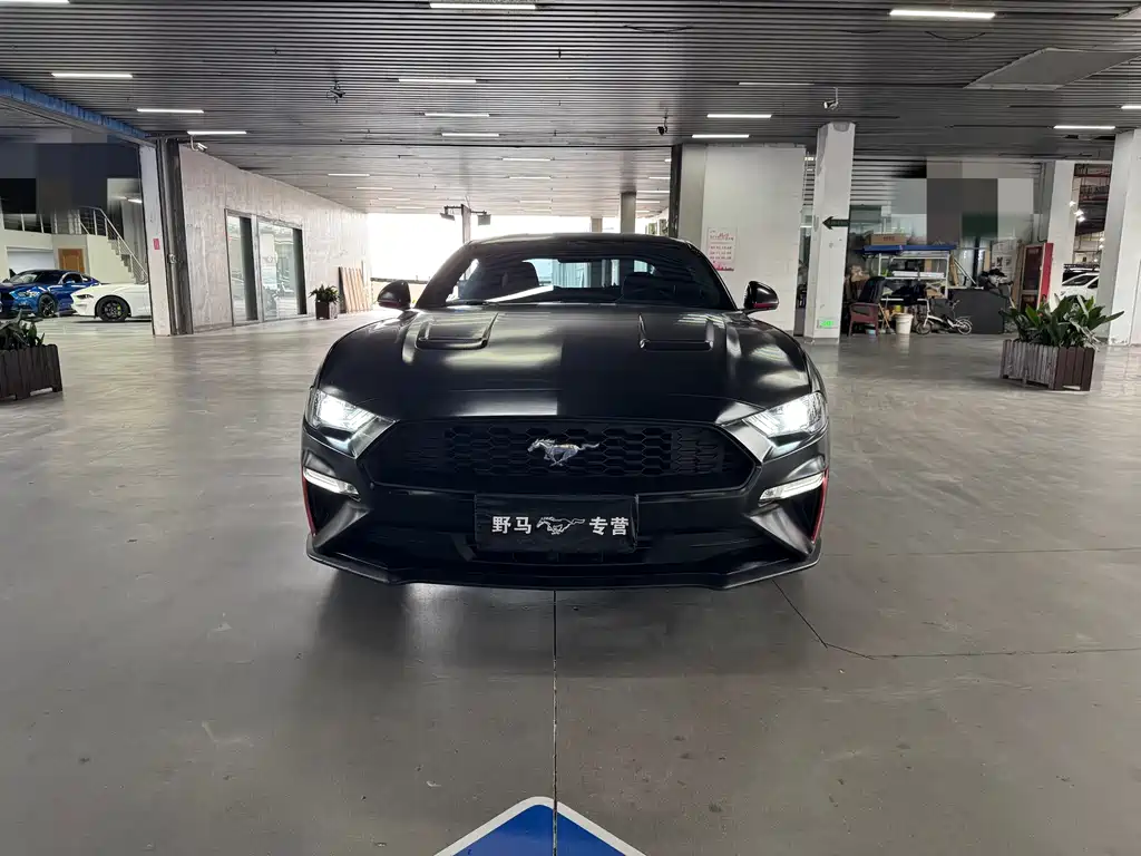 Ford Mustang — миниатюра 2