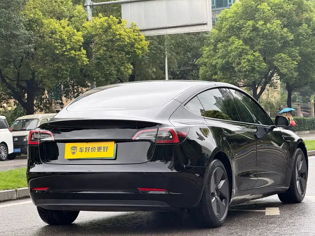 Tesla Model 3 — миниатюра 11