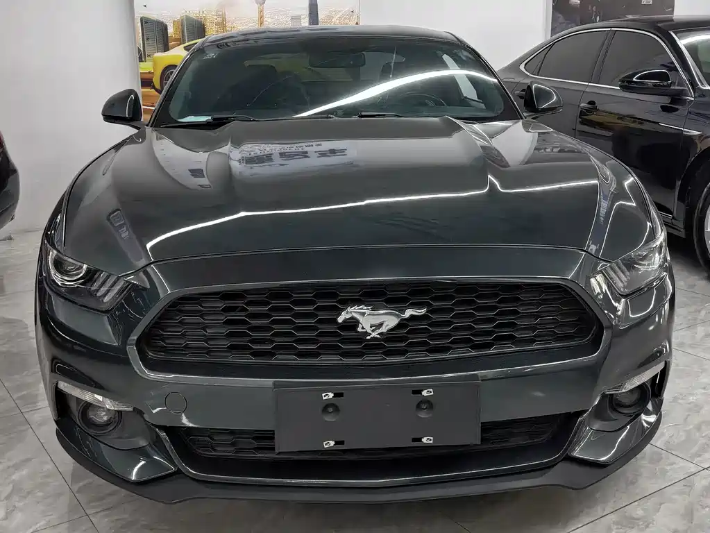 Ford Mustang — миниатюра 3
